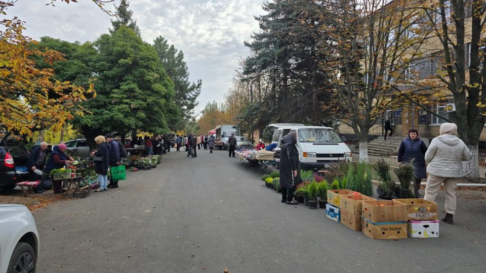 ������� ��������: � ������� ����������� ������ �������� �������