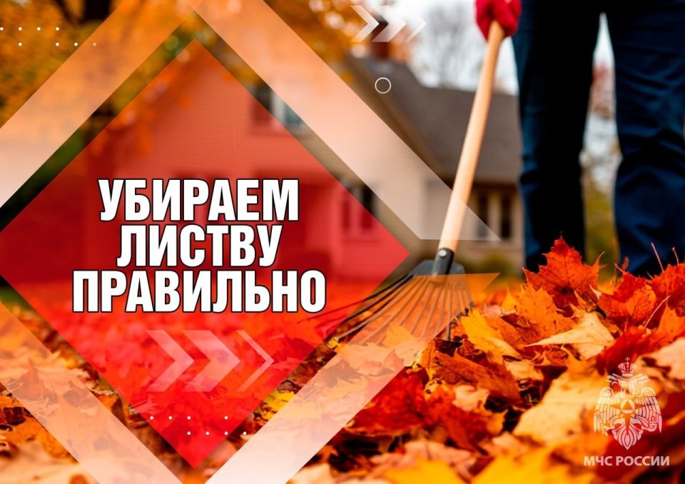 ������ ������� ������: ������� � ������������!