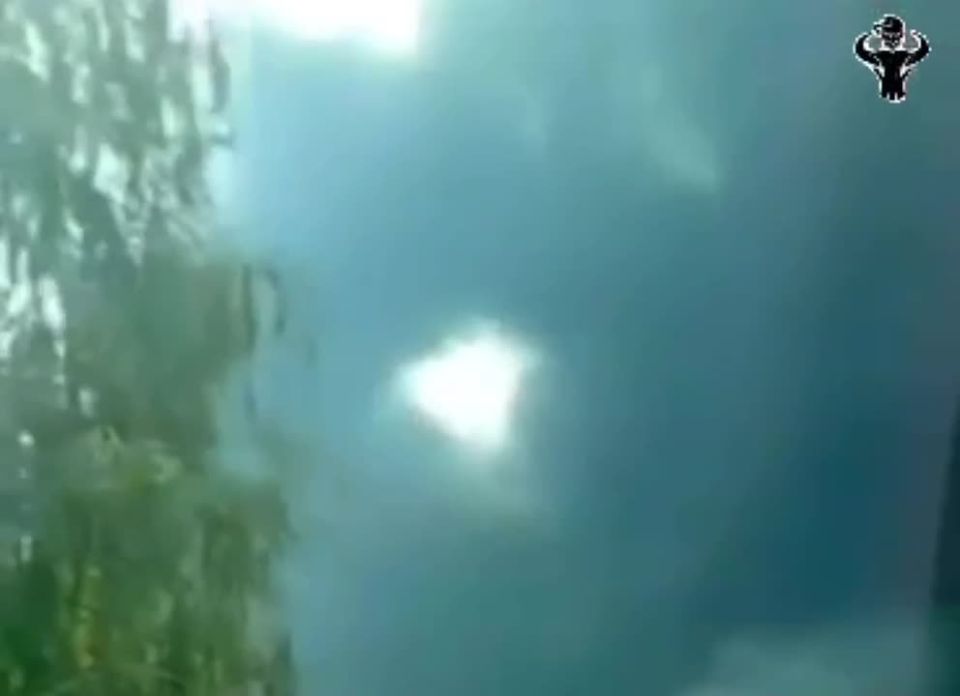 ����� ����� �� �� ����� ��������� � �������� ������������ �������