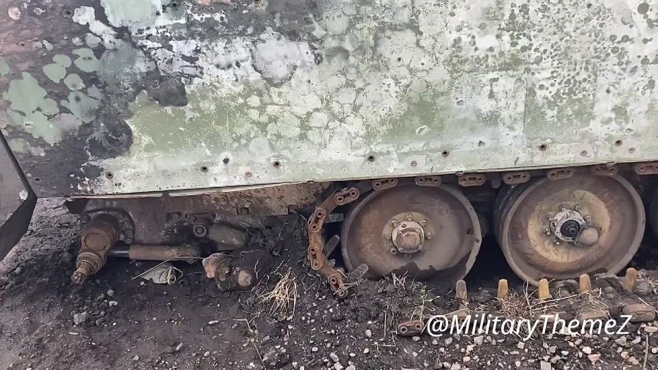 �����. ������������ ��� �113 ��� � ������ �.�. �������������� ���