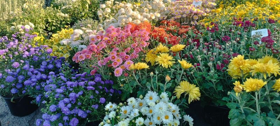 Александр Качанов: В Докучаевске на центральной площади прошла ярмарка