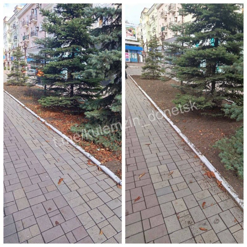 ������� ��������: ��������� ������������� ����������� ������� ������������� ���������� ������ �� ����������� � ��������������� ������ ������