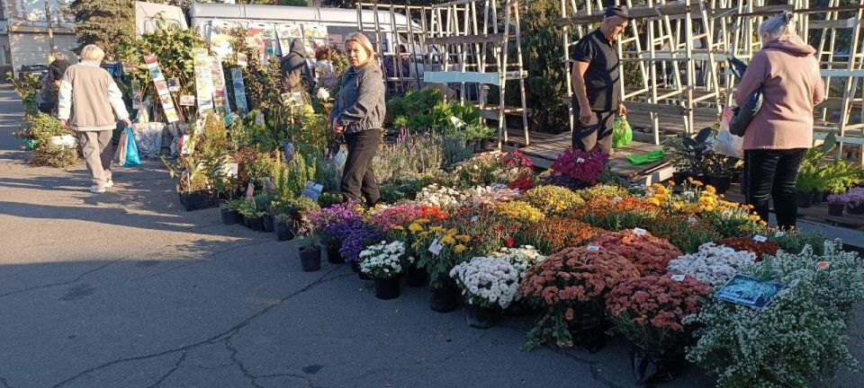 В Докучаевске на центральной площади прошла ярмарка