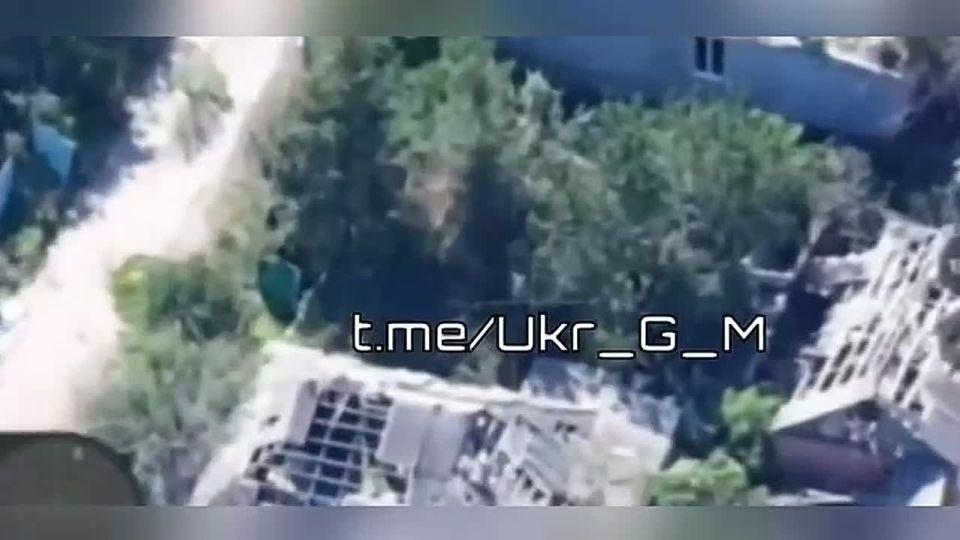 ������ �������: �� �� ���������� ������������ ���� ���������� �� ��������� �����������