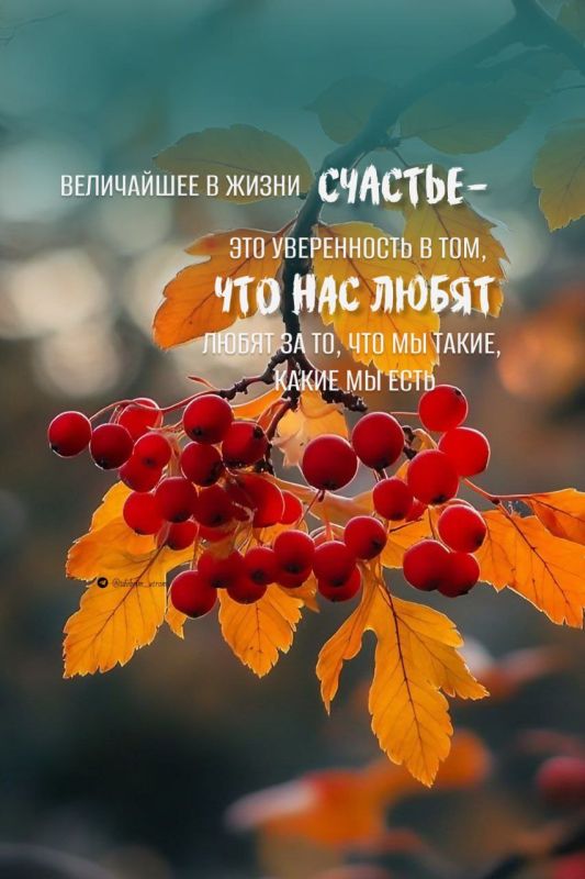 #доброе_утро