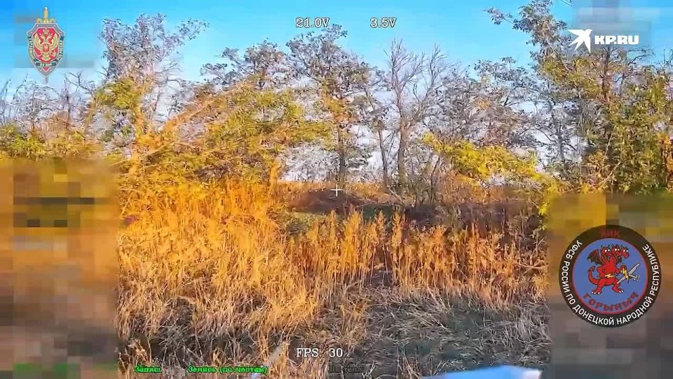 На окраинах Константиновки в ДНР подразделение «Горыныч» уничтожило ДРГ ВСУ