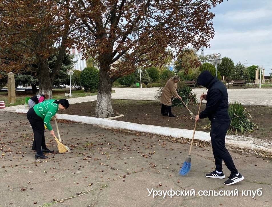 В рамках масштабной акции «1000 добрых дел», приуроченной ко дню рождения Президента Российской Федерации Владимира Путина, в Мангушском муниципальном округе состоялся экологический субботник «Чистый ДК. День добрых дел»
