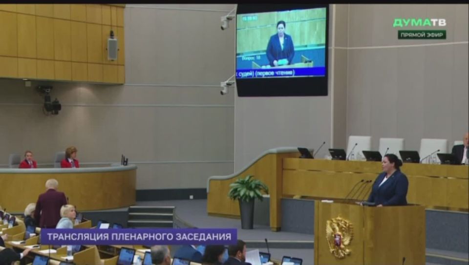 Государственная Дума приняла в первом чтении законопроект, разработанный депутатами ДНР