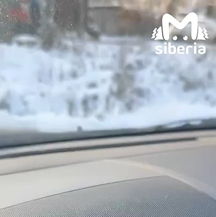 ����� ����� � ���� ���� ������� �������� ����� � ������ �������