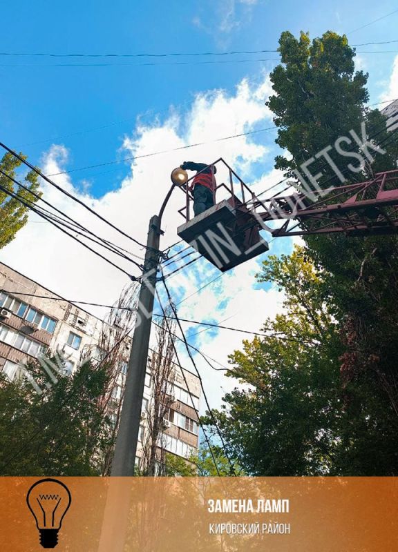 ������� ��������: ����������� ����������� �������������� �� ���� ������� ������ ��������� ������������ ������������ � ������������