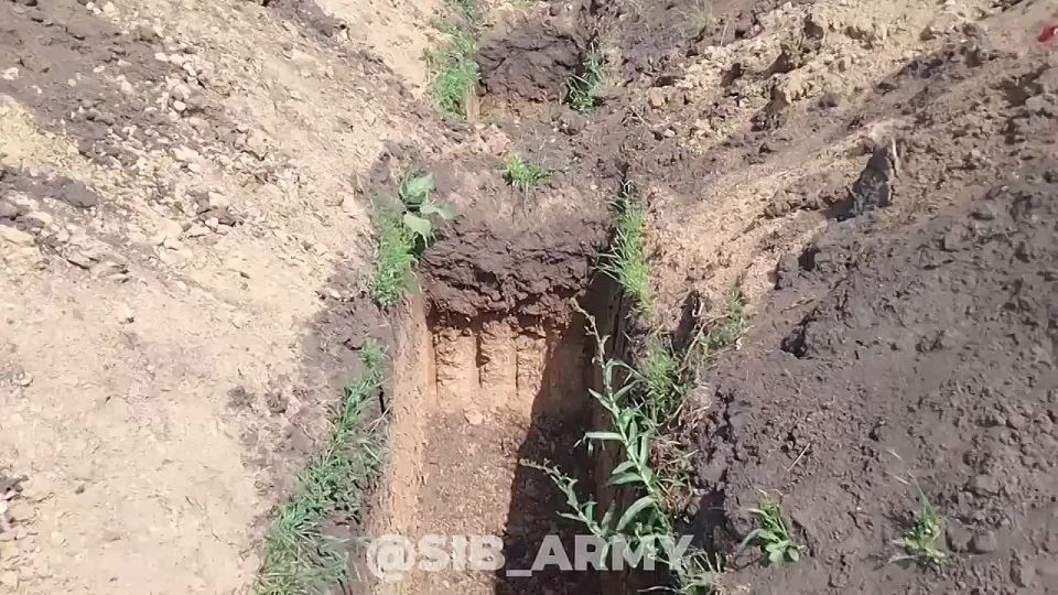 ��������� ������ ������� ����� ������ ������ ��� ����������������