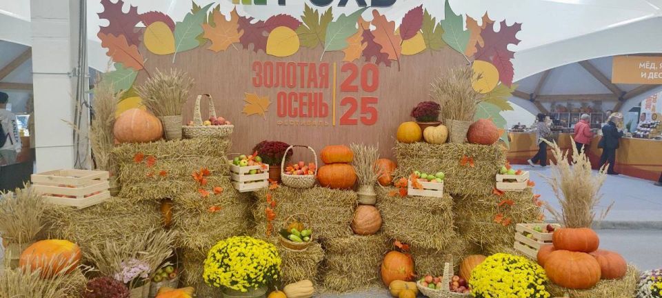 � 8 �� 11 ������� 27-� ���������� ���������������� �������� �������� ����� � 2025� �������� ��� ������ ����������� �� � ����� ������� � ����� ������-����������� ��������� ���������� �����
