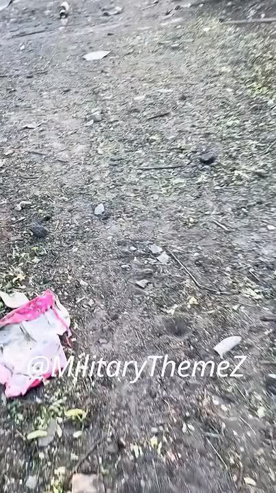 �� ����� �������������� ������������ � ���������� ��������� � ������� ������ ����