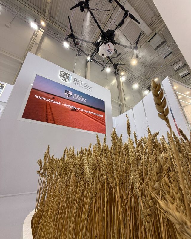 ����� ����������: � ���� ���� �� ������������� ���������������� �������� �������� ����� � 2025� ������ �������� ������� �������� ������������ ����������������� ��������� � ��������� ������ ����������� �������, �������...