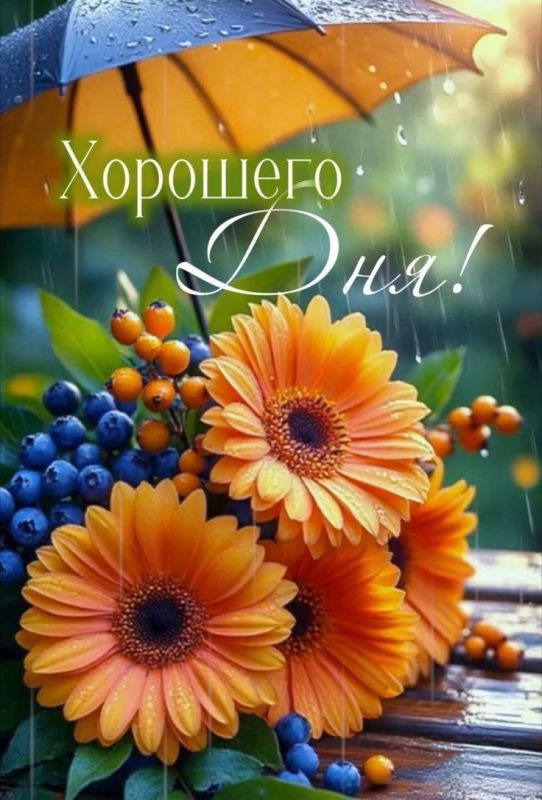 #доброе_утро