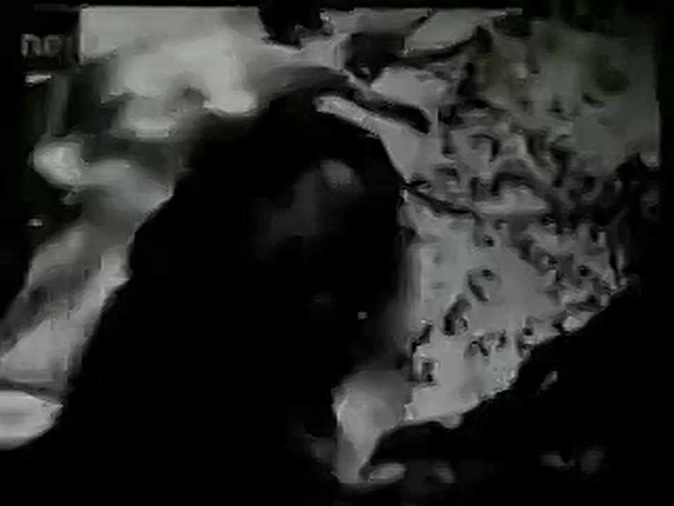 �������� ��������� �����������