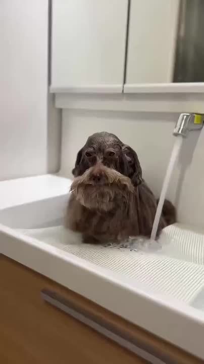 ���� ���� ��������� ������ ���