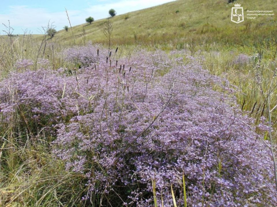 Игорь Лызов: ДОСТОПРИМЕЧАТЕЛЬНОСТИ АМВРОСИЕВСКОГО МУНИЦИПАЛЬНОГО ОКРУГА