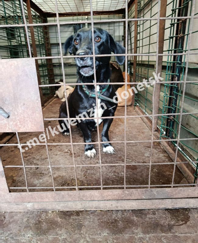 ������� ��������: ������ ���� ���������� ����������� ��������� � ������ ��������� ��������� � ������������ �������! ��� ������������ ������������ ��������, ��������� ����������� ������������ ������ � �������� �������...