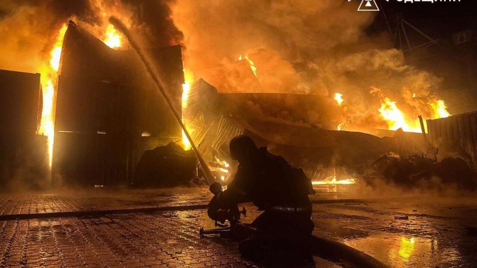 ����� �� �������: � ������ �������� ����� ��������� ���������� �����