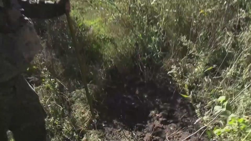  :  -                   ...