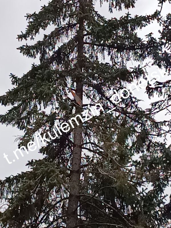 ������� ��������: ��������� ���������� ����� ���� �� ���� �������� ����� � ������������� ������