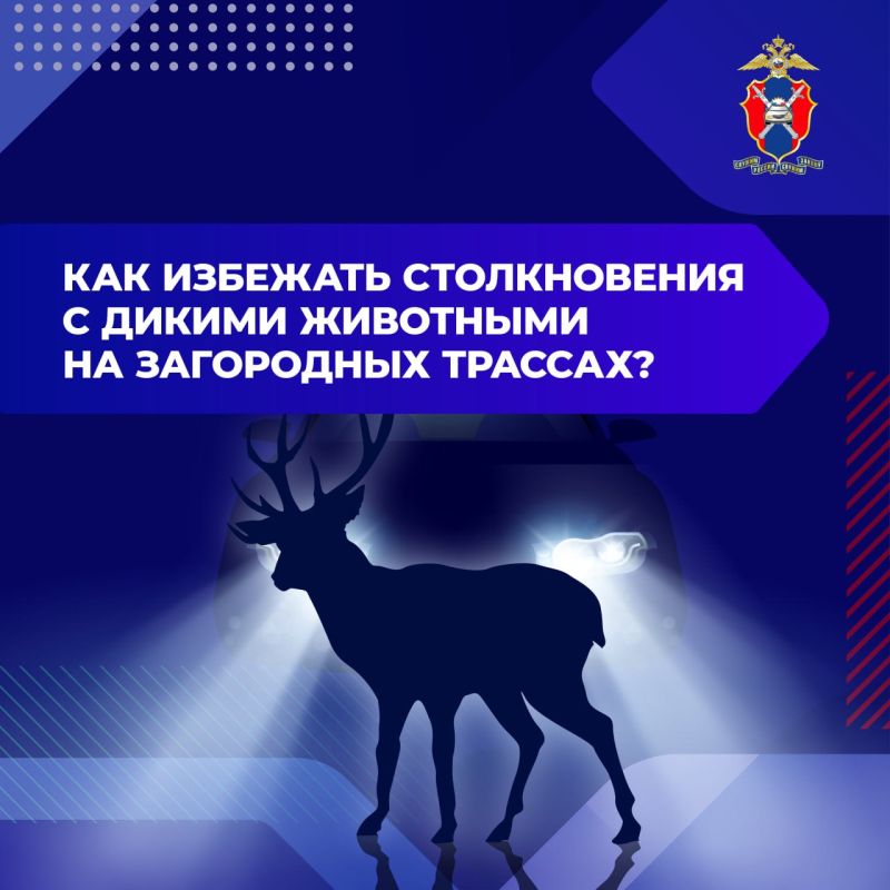 ������������ ��������������� ��� � ���������������� �� ��� ����������� ��������� � �������� ���������� ������ ��������� �������� (����� 2)
