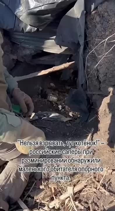 ����� �� �� ������ �� ��������������� �������� ��� ���������� �������