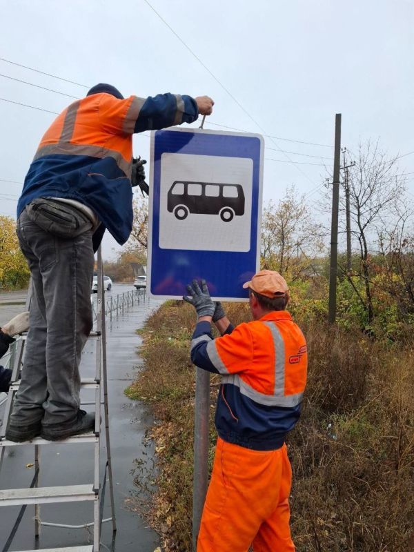 #свод_за_сутки #летнее_содержание