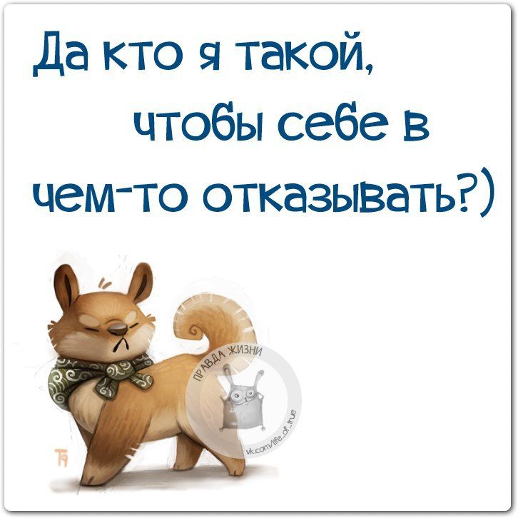 ��������� �����. ��������� ���������-24