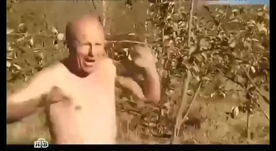 ������� ��� ��������� � ��� ����� ������������