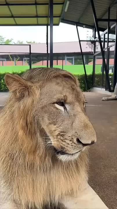 �������� ���� � ������� � ������ ��������!