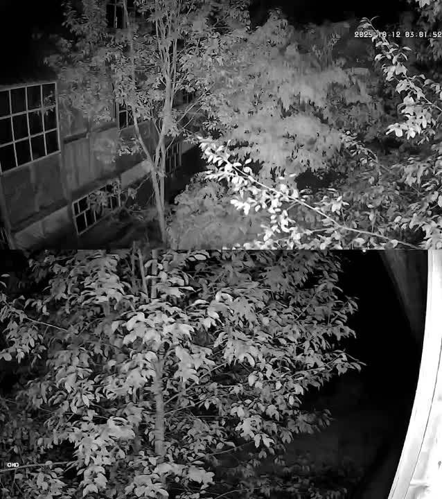 ���� ����: ���������� ��� ����� ���������� 32 ���������� ����: �� 15 � ��� ������������ � �������� ���, ��� � ��� ����������