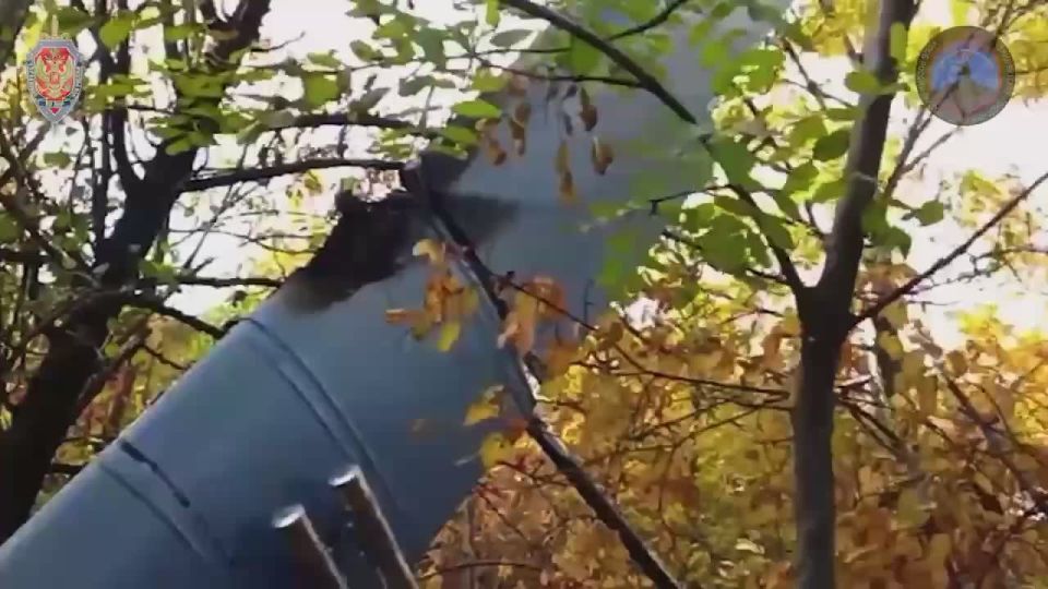 ������ �������� �� ������ ������������ 605 ���� ��� � ���