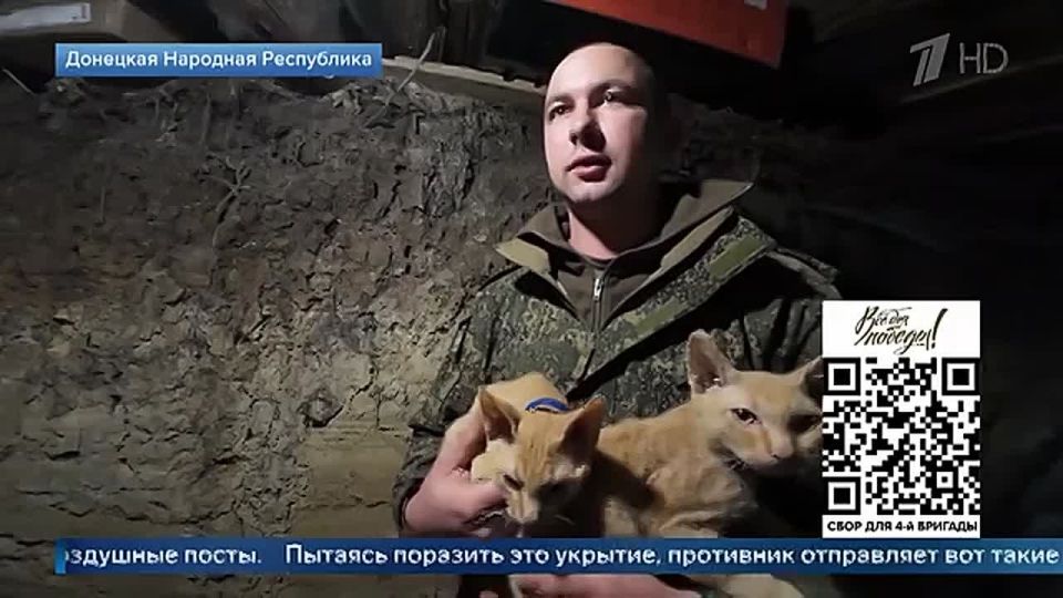 ���������� �������, ������� ����� ������ �������� � �������� �������� ����������, �������� �������������� ������� ������ ������� ������ ����� �������� ��������