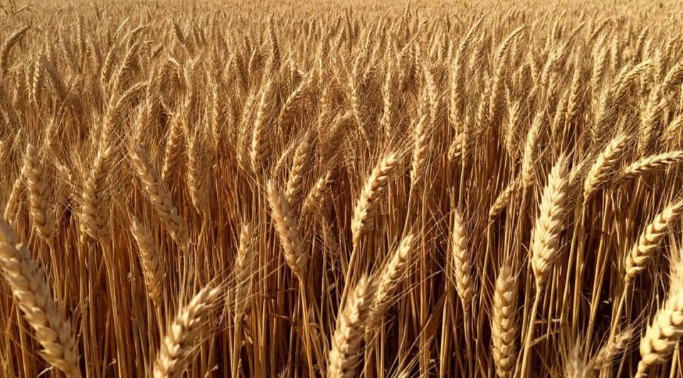 ������� ��� ����������� �������: � ����� ��� ������� ����� 360 ����� ���� �������