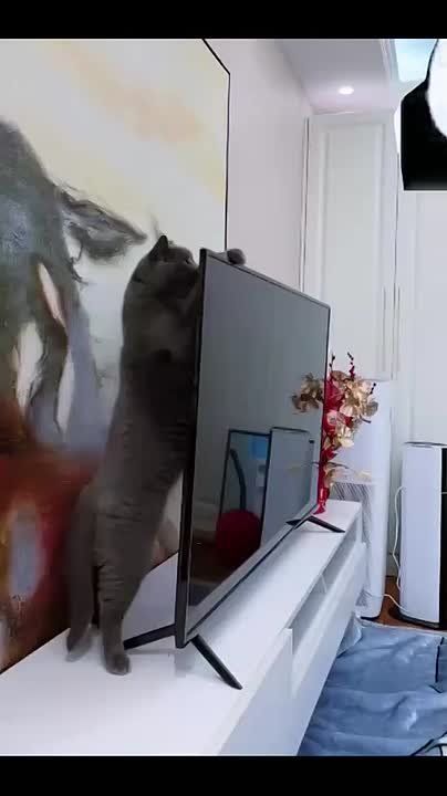 ������ ����, ����� ������, �������� ���