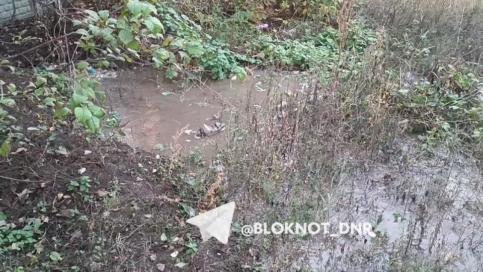 #�������� ������ ���� ��-��� ����� �� ����� ����������� � ��������� ������ �������