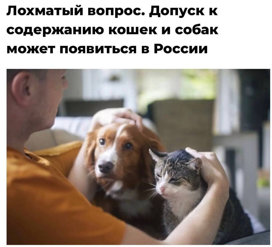 Минприроды готовят законопроект, который позволит заводить котов и собак только после разрешения властей