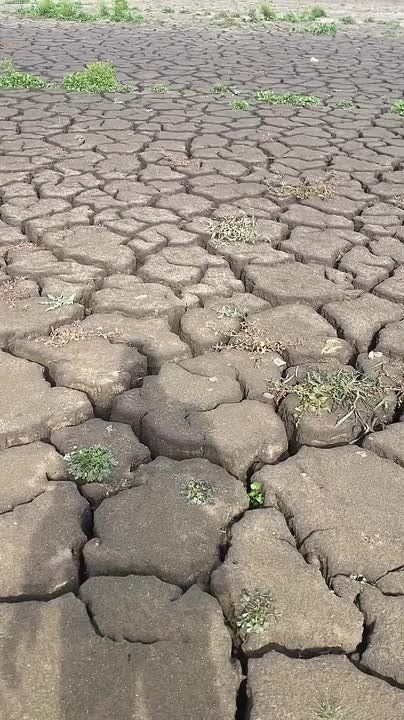 Жуткие кадры пересохшего Ханженковского водохранилища публикуют жители