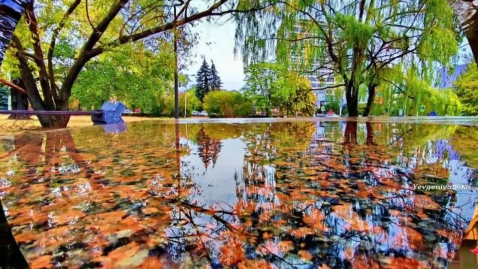 ������� ��������: ������ ������� �������. ������� ������������� �� ������� ���������� ��������� ������������� ������� ���������� ����� ������ ��������