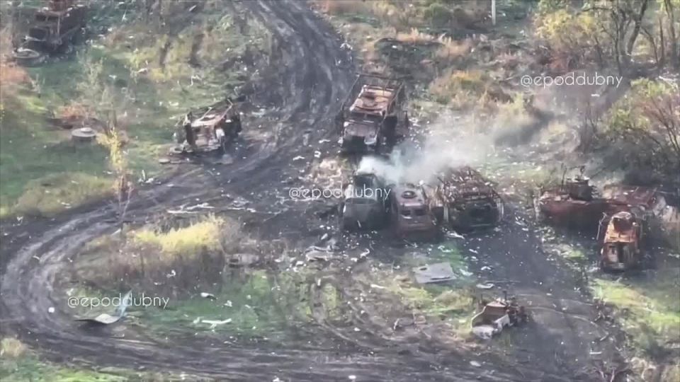 ��������� �������: �� �������!. ������� ������ ������� �� 25 ������ ������� �� ������ ���������� �����������, ���� ��������� ����� ��� ����� �� �����