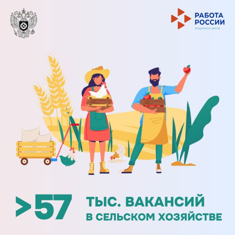����������� ������ �� ����� � ��������� (VK)