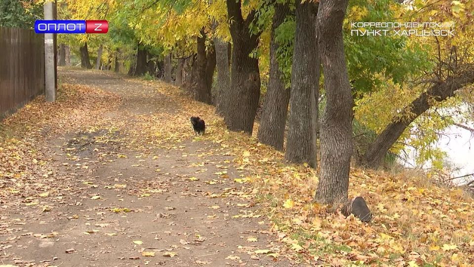 Итоги субботника. На прошлой неделе городской округ отличился, с хорошей стороны, чередой субботников – в Троицко-Харцызске, Зугрэсе и на ул. Набережной в Харцызске участники традиционного мероприятия за чистоту убрали мусор...