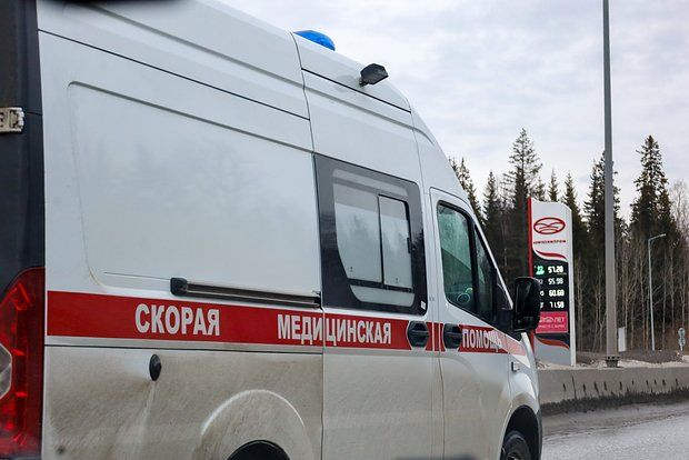 Пушилин: В селе Лозовое при детонации взрывоопасного предмета погиб человек