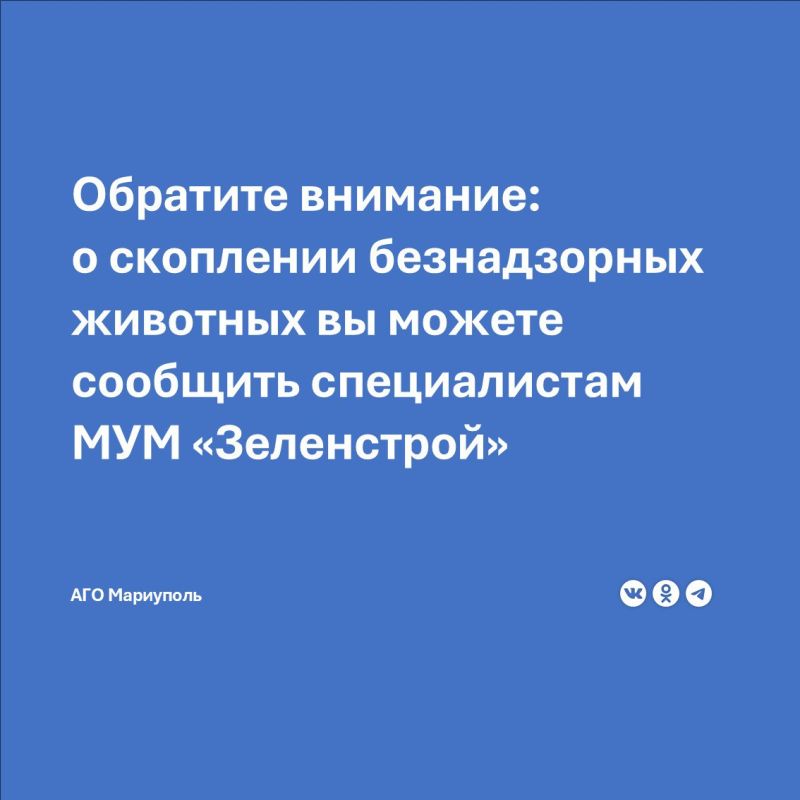 ������������� ���������� ������ ����������: ���� �� �������� ��������� ��������� ��������, ����������, �������� �� ���� ������������ �������������� ����������� "����������"