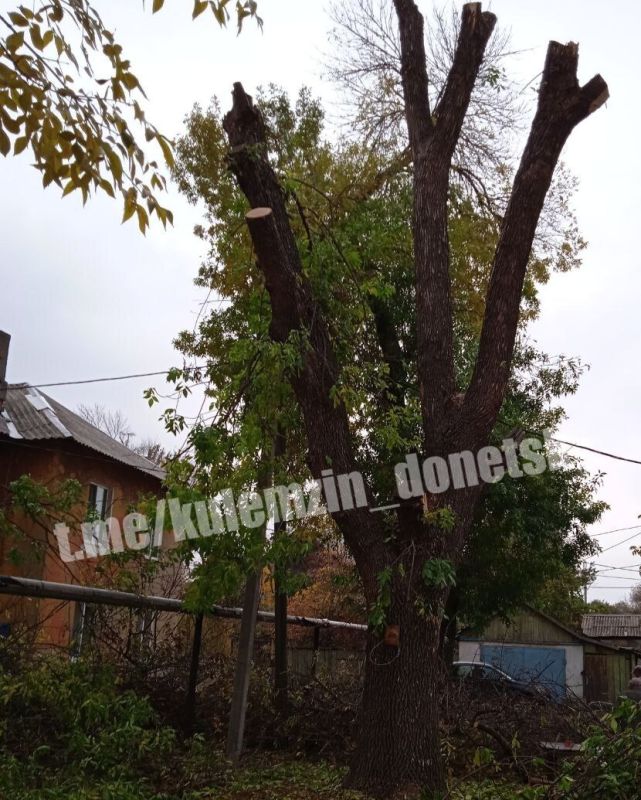 ������� ��������: ������������� �.�. ������ ��������� �� ������������� ������� ������������� ����� �� ���������� ��� ��� ���������� ���������� ��������� ������, ����������� �� ������ ���� ����� ��� ������ ��������