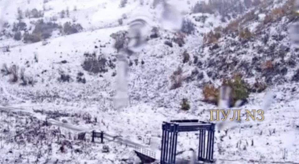 ������� ����������: ������� ������ � ��� ������������, ���� ���� ����� ����