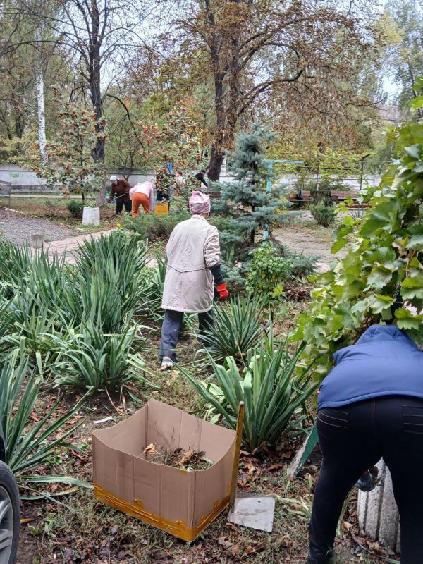 Чистый понедельник — чистый двор!