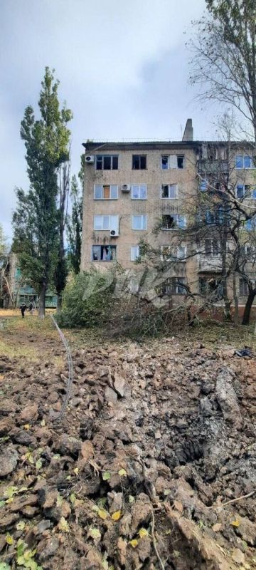 �������� ����������: � �������� ������� ����� �������